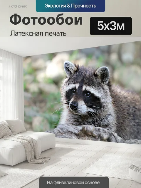500 × 300 см · Латексная печать