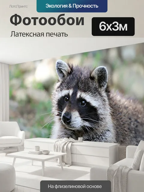 600 × 300 см · Латексная печать