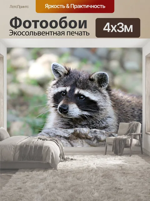 400 × 300 см · Экосольвентная печать
