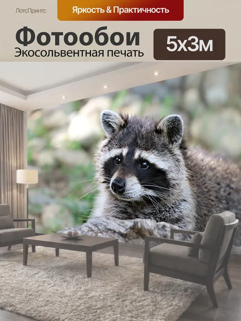 500 × 300 см · Экосольвентная печать