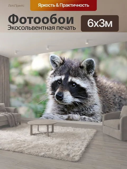 600 × 300 см · Экосольвентная печать