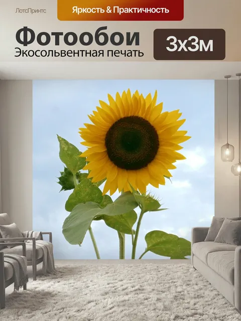 Фотообои Подсолнечник, летние цветы, желтые цветы