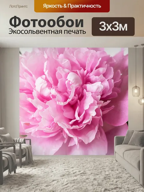 Фотообои Пион, цветок, розовый