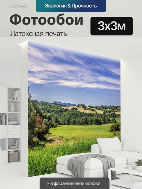 300 × 300 см · Латексная печать