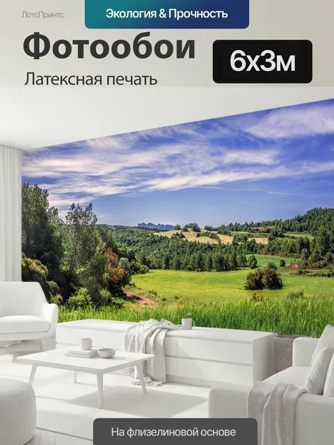 600 × 300 см · Латексная печать