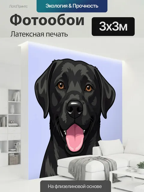 300 × 300 см · Латексная печать