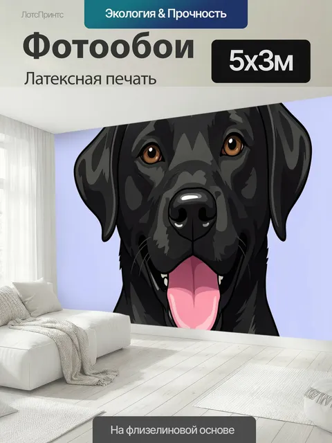 500 × 300 см · Латексная печать
