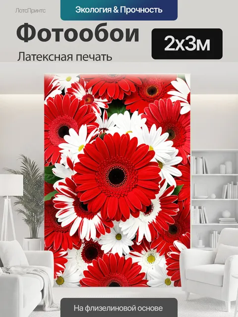 200 × 300 см · Латексная печать