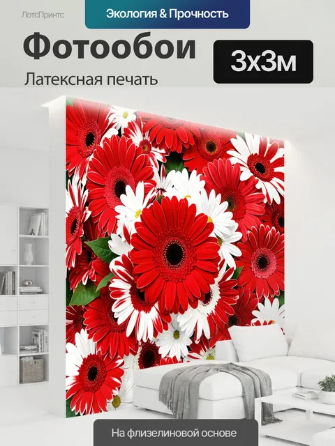 300 × 300 см · Латексная печать