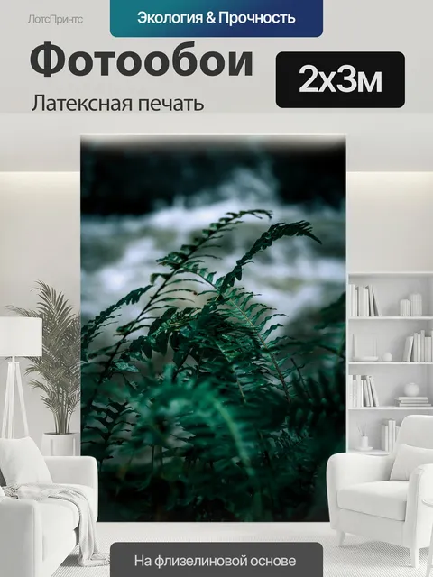 200 × 300 см · Латексная печать