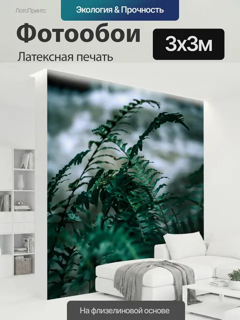 300 × 300 см · Латексная печать