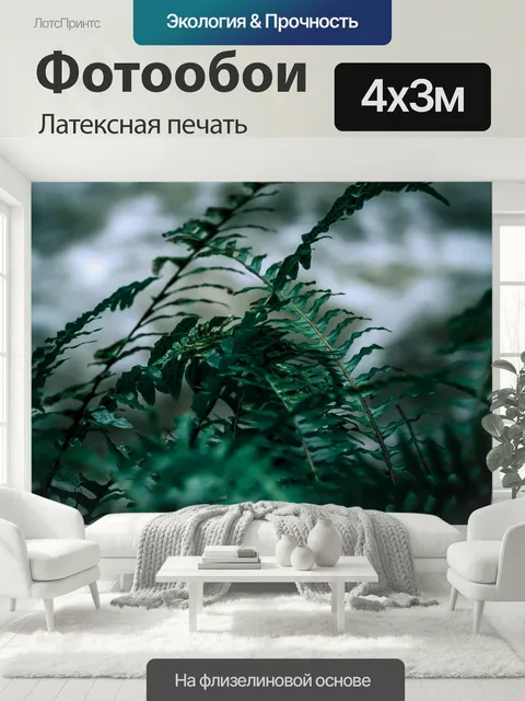 400 × 300 см · Латексная печать