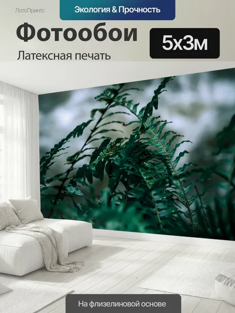 500 × 300 см · Латексная печать