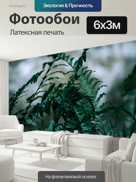 600 × 300 см · Латексная печать