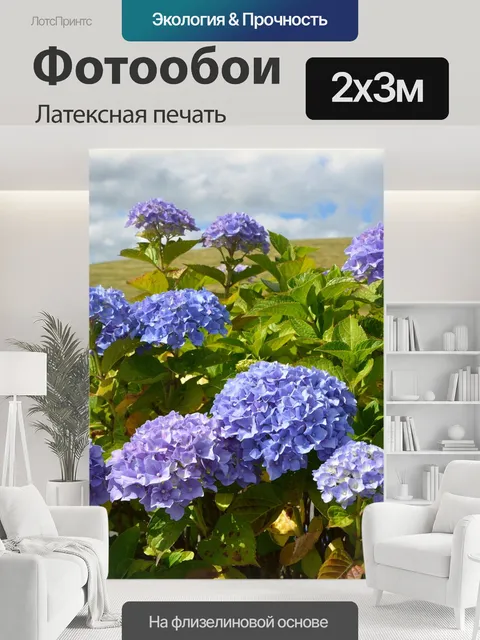 200 × 300 см · Латексная печать