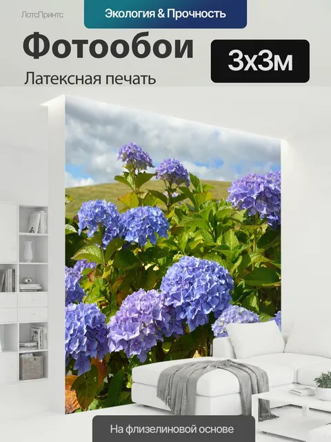 300 × 300 см · Латексная печать