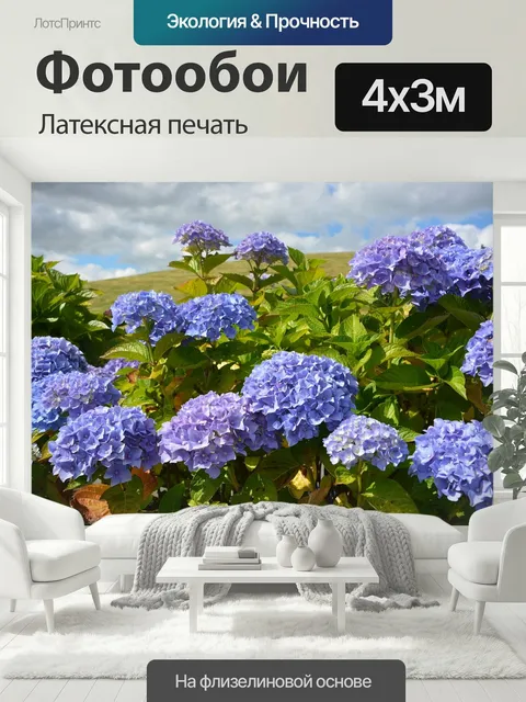 400 × 300 см · Латексная печать