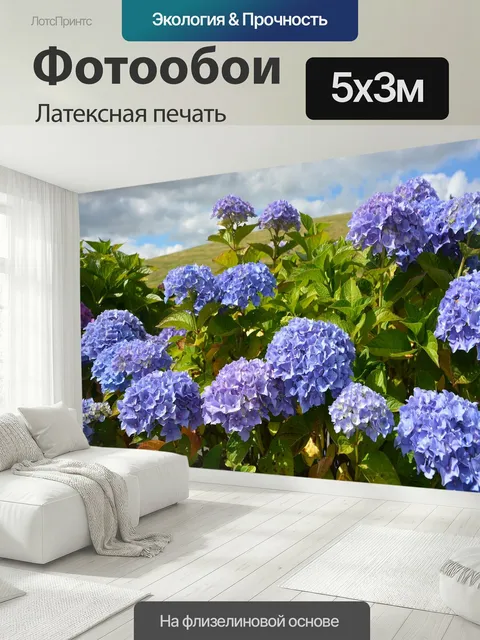 500 × 300 см · Латексная печать