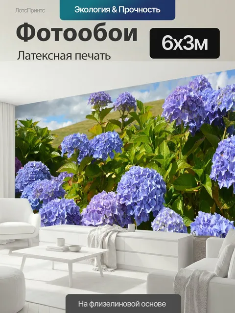 600 × 300 см · Латексная печать