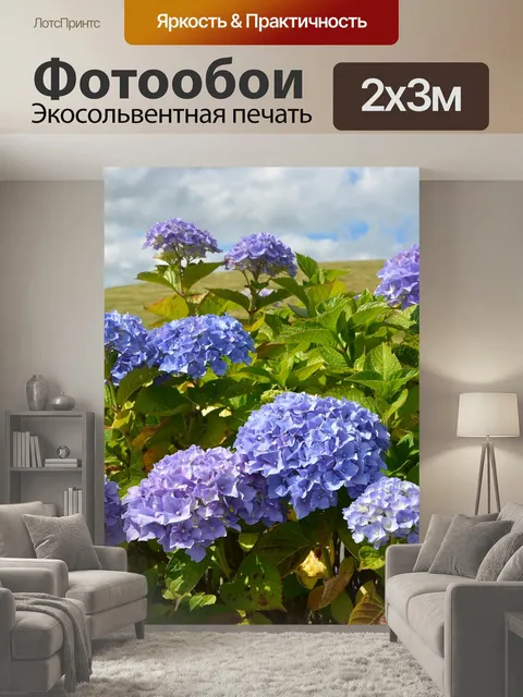 200 × 300 см · Экосольвентная печать