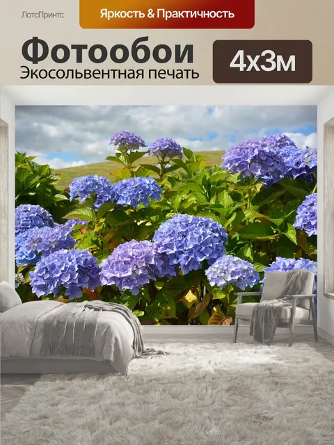400 × 300 см · Экосольвентная печать