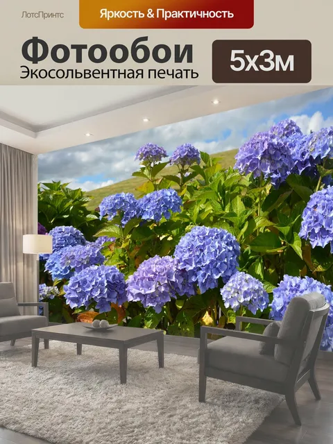 500 × 300 см · Экосольвентная печать