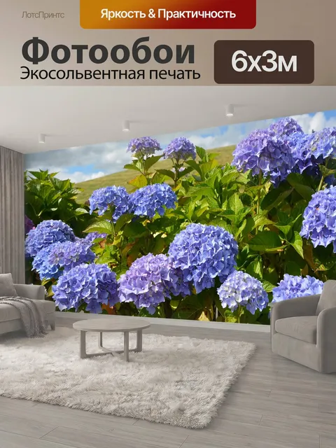 600 × 300 см · Экосольвентная печать