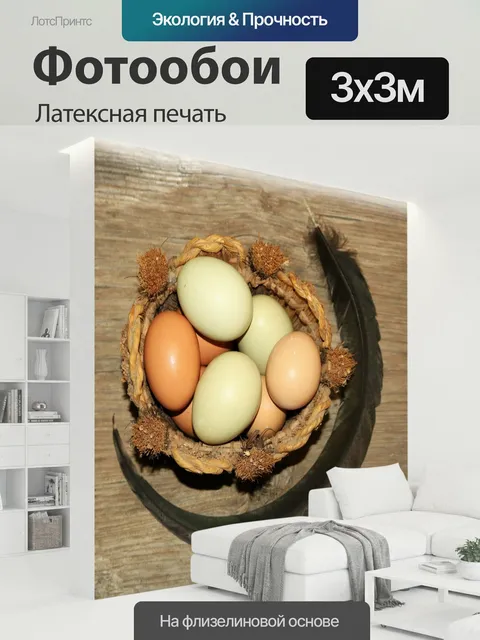 300 × 300 см · Латексная печать