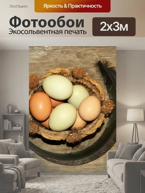 200 × 300 см · Экосольвентная печать