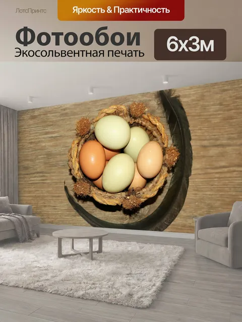 600 × 300 см · Экосольвентная печать