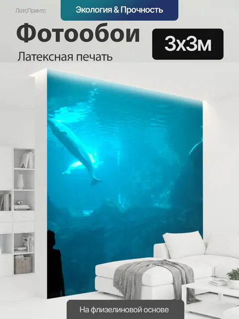 300 × 300 см · Латексная печать