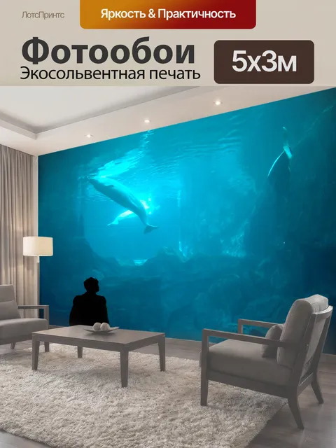 Фотообои Человек наблюдая Дельфин