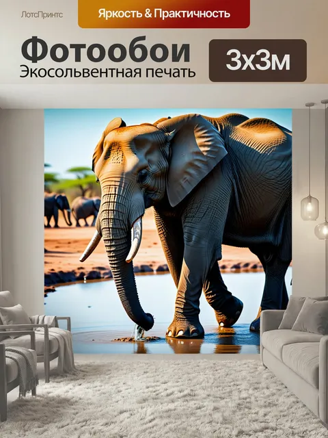 Фотообои Слон в очках, гуляющий у водопоя