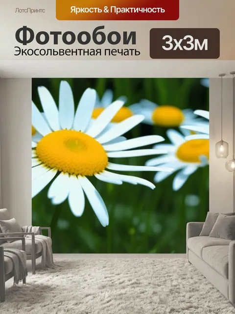 Фотообои Ромашки и их ухающая гармония