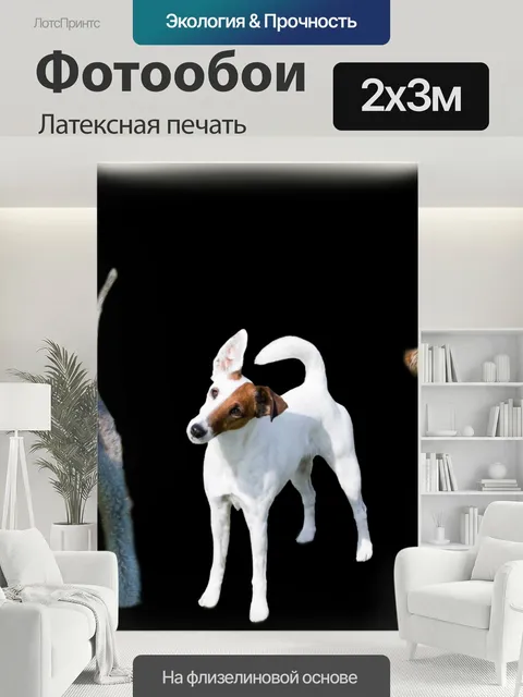 200 × 300 см · Латексная печать
