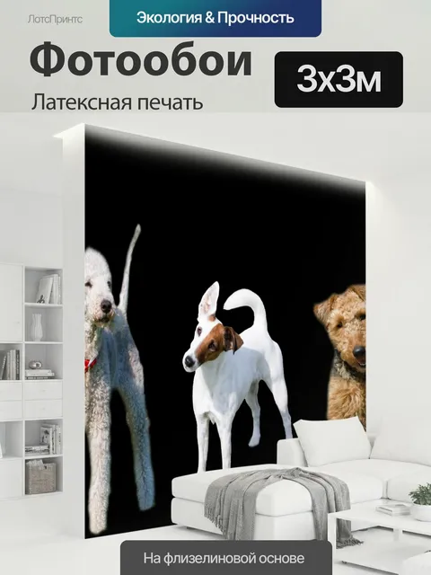 300 × 300 см · Латексная печать