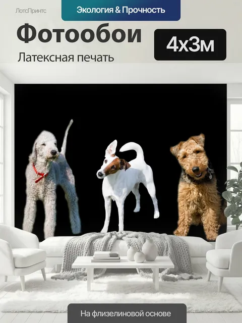 400 × 300 см · Латексная печать