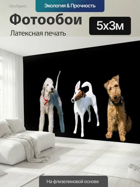 500 × 300 см · Латексная печать