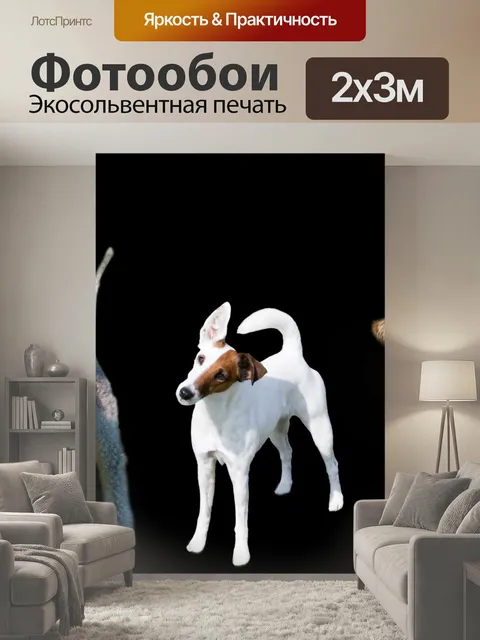 200 × 300 см · Экосольвентная печать