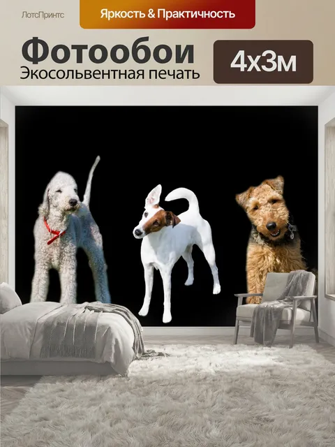 400 × 300 см · Экосольвентная печать