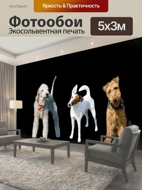 Фотообои Собаки Три милые собаки терьер