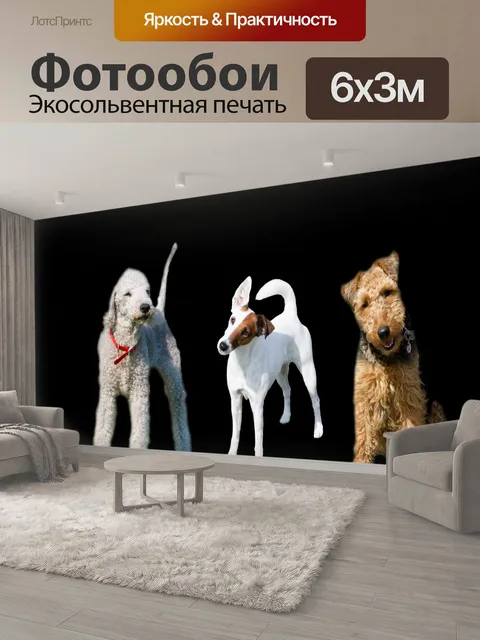 600 × 300 см · Экосольвентная печать