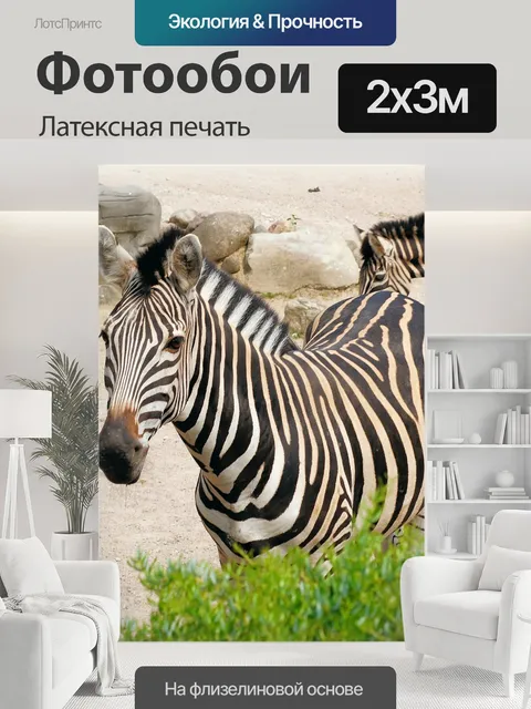 200 × 300 см · Латексная печать
