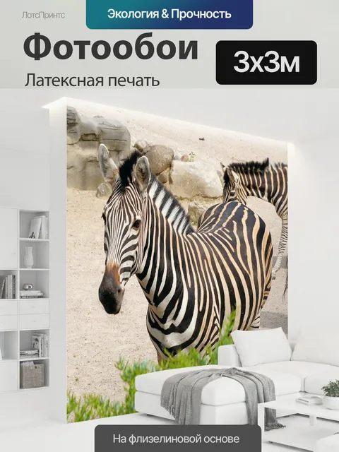 300 × 300 см · Латексная печать