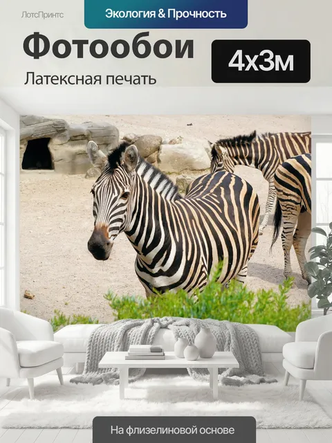 400 × 300 см · Латексная печать