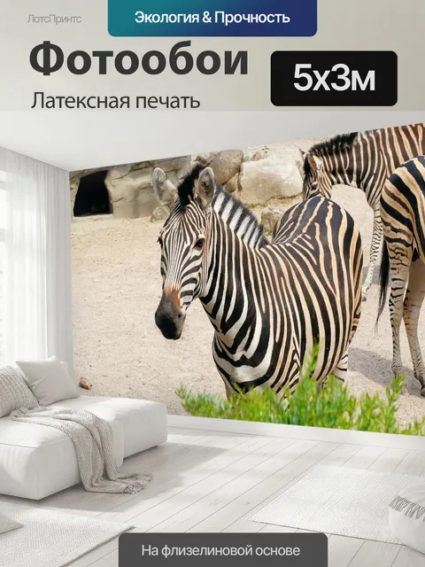 500 × 300 см · Латексная печать