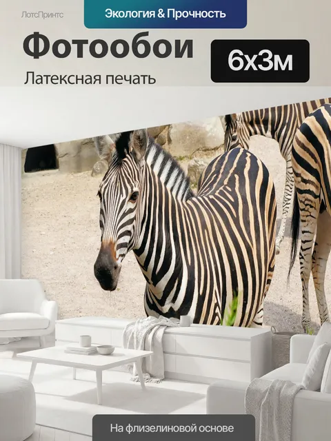 600 × 300 см · Латексная печать