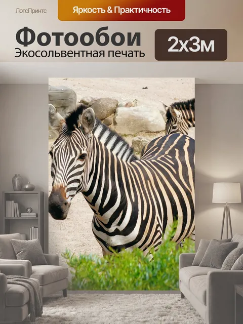 200 × 300 см · Экосольвентная печать