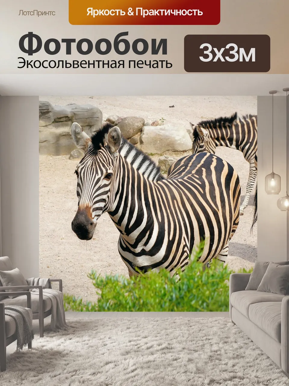 Фотообои Зебра, полосатый, черно-белый