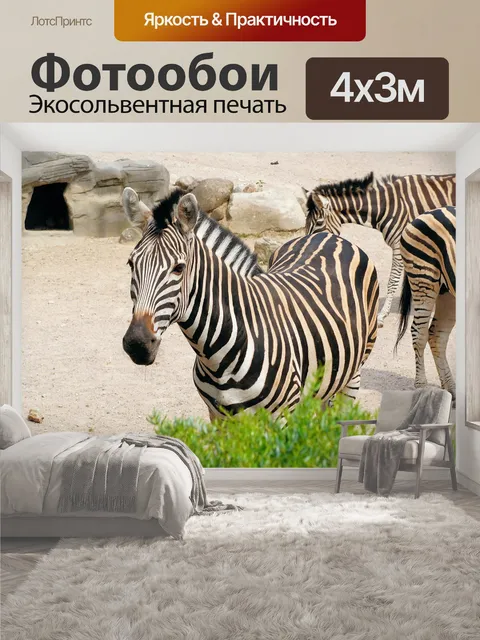 400 × 300 см · Экосольвентная печать